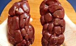 Raw beef kidneys Raw beef kidneys