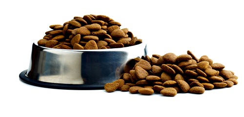 View of Natural Puppy Food Choices